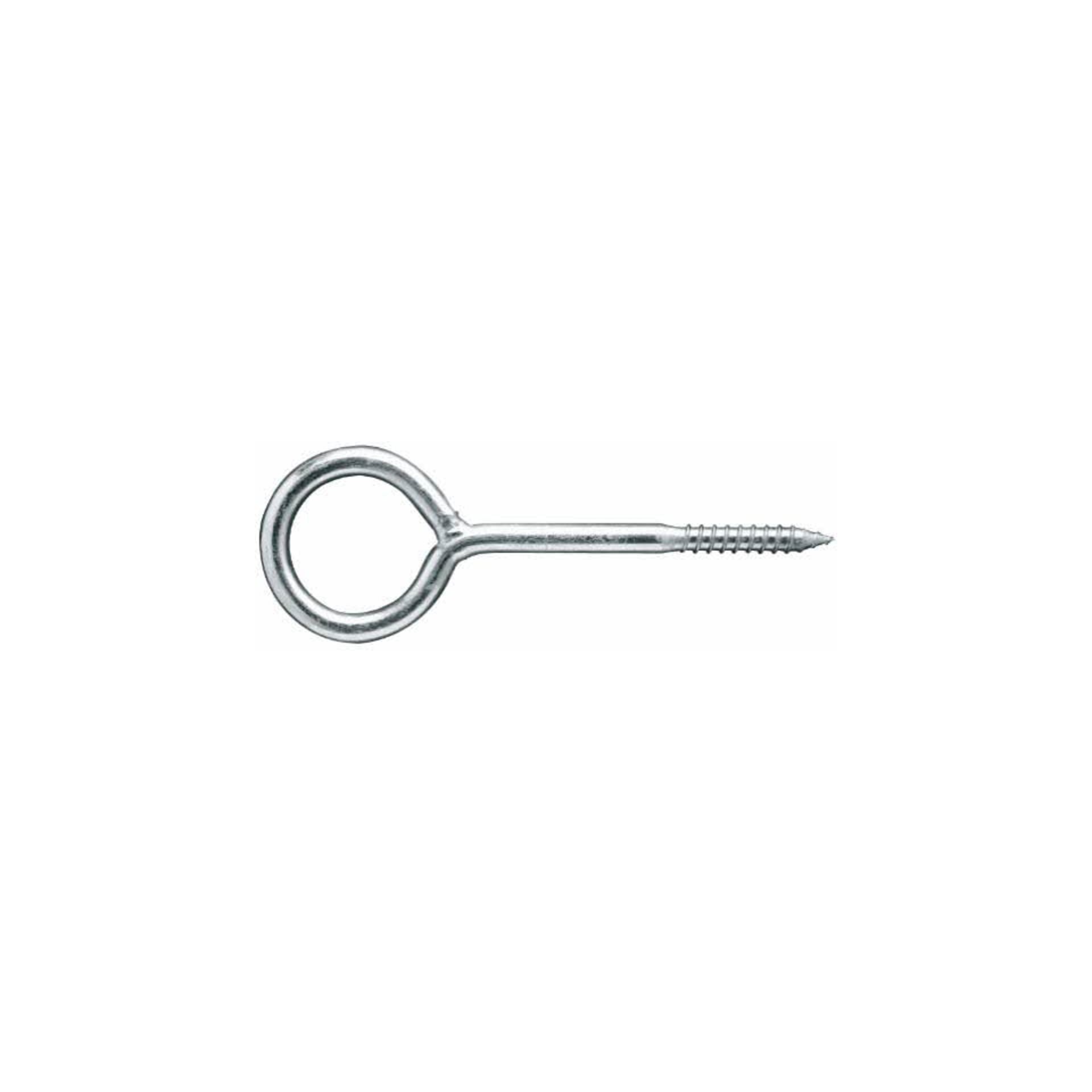 product-5313 Fixation d'echafaudages / façades Diam. oeillet 51 mm – Image 1